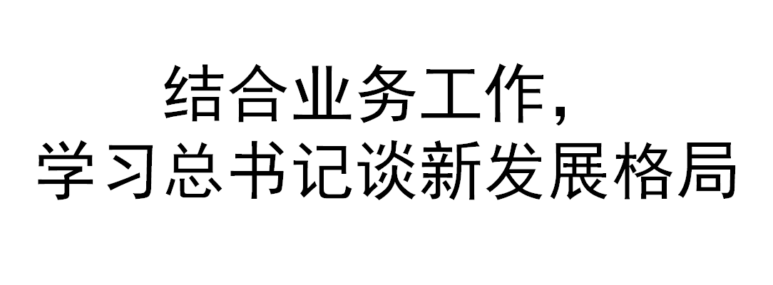 【党建】结合业务工作，学习总书记谈新发展格局