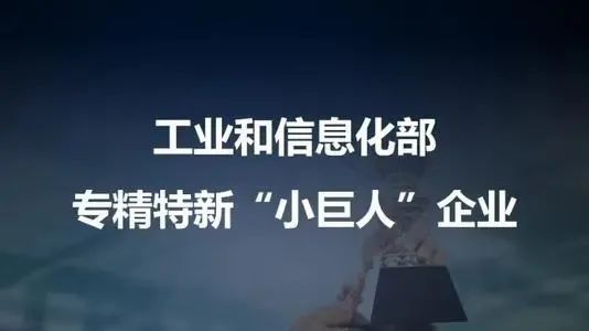 【动态】我司获得国家级专精特新“小巨人”企业高质量发展支持